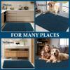 imageOLANLY Dog Door Mat Set 2Piece 30x20 Absorbs Moisture and Dirt Absorbent NonSlip Washable Doormat Quick Dry Chenille Mud Mat for Dogs Entry Indoor Entryway Carpet for Inside Floor GreyAtlantic Blue