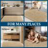 imageOLANLY Dog Door Mat Set 2Piece 30x20 Absorbs Moisture and Dirt Absorbent NonSlip Washable Doormat Quick Dry Chenille Mud Mat for Dogs Entry Indoor Entryway Carpet for Inside Floor GreyBeige