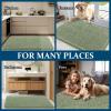 imageOLANLY Dog Door Mat Set 2Piece 30x20 Absorbs Moisture and Dirt Absorbent NonSlip Washable Doormat Quick Dry Chenille Mud Mat for Dogs Entry Indoor Entryway Carpet for Inside Floor GreySage Green