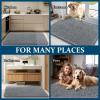 imageOLANLY Dog Door Mat Set 2Piece 30x20 Absorbs Moisture and Dirt Absorbent NonSlip Washable Doormat Quick Dry Chenille Mud Mat for Dogs Entry Indoor Entryway Carpet for Inside Floor GreyGrey