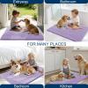 imageOLANLY Dog Door Mat for Muddy Paws 48x30 Ultra Absorbent Chenille Mud Doormat NonSlip Washable and Dirt Trapping Doormat for Indoor Entryway QuickDry Indoor Pet Bed Mats for Dogs GreyLavender