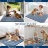 imageOLANLY Dog Door Mat for Muddy Paws 48x30 Ultra Absorbent Chenille Mud Doormat NonSlip Washable and Dirt Trapping Doormat for Indoor Entryway QuickDry Indoor Pet Bed Mats for Dogs GreyAiry Blue
