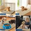 imageOLANLY Dog Door Mat for Muddy Paws 48x30 Ultra Absorbent Chenille Mud Doormat NonSlip Washable and Dirt Trapping Doormat for Indoor Entryway QuickDry Indoor Pet Bed Mats for Dogs GreyBeige