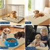imageOLANLY Dog Door Mat for Muddy Paws 48x30 Ultra Absorbent Chenille Mud Doormat NonSlip Washable and Dirt Trapping Doormat for Indoor Entryway QuickDry Indoor Pet Bed Mats for Dogs GreySand