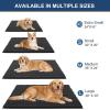 imageOLANLY Dog Door Mat for Muddy Paws 48x30 Ultra Absorbent Chenille Mud Doormat NonSlip Washable and Dirt Trapping Doormat for Indoor Entryway QuickDry Indoor Pet Bed Mats for Dogs GreyDark Grey
