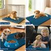 imageOLANLY Dog Door Mat for Muddy Paws 48x30 Ultra Absorbent Chenille Mud Doormat NonSlip Washable and Dirt Trapping Doormat for Indoor Entryway QuickDry Indoor Pet Bed Mats for Dogs GreyAtlantic Blue