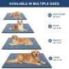 imageOLANLY Dog Door Mat for Muddy Paws 48x30 Ultra Absorbent Chenille Mud Doormat NonSlip Washable and Dirt Trapping Doormat for Indoor Entryway QuickDry Indoor Pet Bed Mats for Dogs GreyAiry Blue
