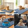 imageOLANLY Dog Door Mat for Muddy Paws 48x30 Ultra Absorbent Chenille Mud Doormat NonSlip Washable and Dirt Trapping Doormat for Indoor Entryway QuickDry Indoor Pet Bed Mats for Dogs GreyAiry Blue