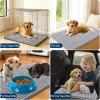 imageOLANLY Dog Door Mat for Muddy Paws 48x30 Ultra Absorbent Chenille Mud Doormat NonSlip Washable and Dirt Trapping Doormat for Indoor Entryway QuickDry Indoor Pet Bed Mats for Dogs GreyLight Grey