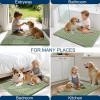 imageOLANLY Dog Door Mat for Muddy Paws 48x30 Ultra Absorbent Chenille Mud Doormat NonSlip Washable and Dirt Trapping Doormat for Indoor Entryway QuickDry Indoor Pet Bed Mats for Dogs GreySage Green