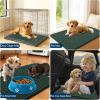 imageOLANLY Dog Door Mat for Muddy Paws 48x30 Ultra Absorbent Chenille Mud Doormat NonSlip Washable and Dirt Trapping Doormat for Indoor Entryway QuickDry Indoor Pet Bed Mats for Dogs GreyBlackish Green