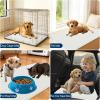 imageOLANLY Dog Door Mat for Muddy Paws 48x30 Ultra Absorbent Chenille Mud Doormat NonSlip Washable and Dirt Trapping Doormat for Indoor Entryway QuickDry Indoor Pet Bed Mats for Dogs GreyIvory