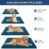 imageOLANLY Dog Door Mat for Muddy Paws 48x30 Ultra Absorbent Chenille Mud Doormat NonSlip Washable and Dirt Trapping Doormat for Indoor Entryway QuickDry Indoor Pet Bed Mats for Dogs GreyAtlantic Blue
