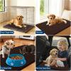 imageOLANLY Dog Door Mat for Muddy Paws 48x30 Ultra Absorbent Chenille Mud Doormat NonSlip Washable and Dirt Trapping Doormat for Indoor Entryway QuickDry Indoor Pet Bed Mats for Dogs GreyBrown