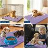 imageOLANLY Dog Door Mat for Muddy Paws 48x30 Ultra Absorbent Chenille Mud Doormat NonSlip Washable and Dirt Trapping Doormat for Indoor Entryway QuickDry Indoor Pet Bed Mats for Dogs GreyLavender