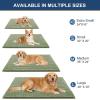 imageOLANLY Dog Door Mat for Muddy Paws 48x30 Ultra Absorbent Chenille Mud Doormat NonSlip Washable and Dirt Trapping Doormat for Indoor Entryway QuickDry Indoor Pet Bed Mats for Dogs GreySage Green