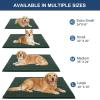 imageOLANLY Dog Door Mat for Muddy Paws 48x30 Ultra Absorbent Chenille Mud Doormat NonSlip Washable and Dirt Trapping Doormat for Indoor Entryway QuickDry Indoor Pet Bed Mats for Dogs GreyBlackish Green