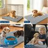 imageOLANLY Dog Door Mat for Muddy Paws 48x30 Ultra Absorbent Chenille Mud Doormat NonSlip Washable and Dirt Trapping Doormat for Indoor Entryway QuickDry Indoor Pet Bed Mats for Dogs GreyGrey