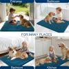 imageOLANLY Dog Door Mat for Muddy Paws 48x30 Ultra Absorbent Chenille Mud Doormat NonSlip Washable and Dirt Trapping Doormat for Indoor Entryway QuickDry Indoor Pet Bed Mats for Dogs GreyAtlantic Blue
