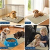 image:imageOLANLY Dog Door Mat for Muddy Paws 32x20 Ultra Absorbent Chenille Mud Doormat NonSlip Washable and Dirt Trapping Indoor Doormat for Entryway QuickDry Front Door Mat for Indoor Dogs BeigeBeige
