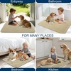 image:imageOLANLY Dog Door Mat for Muddy Paws 32x20 Ultra Absorbent Chenille Mud Doormat NonSlip Washable and Dirt Trapping Indoor Doormat for Entryway QuickDry Front Door Mat for Indoor Dogs BeigeBeige