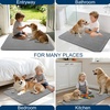 image:imageOLANLY Dog Door Mat for Muddy Paws 32x20 Ultra Absorbent Chenille Mud Doormat NonSlip Washable and Dirt Trapping Indoor Doormat for Entryway QuickDry Front Door Mat for Indoor Dogs BeigeGrey